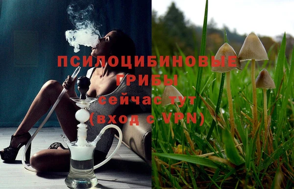 соль курить ск Переславль-Залесский
