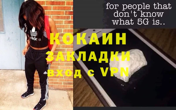 сатива Балахна