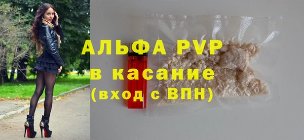сатива Балахна